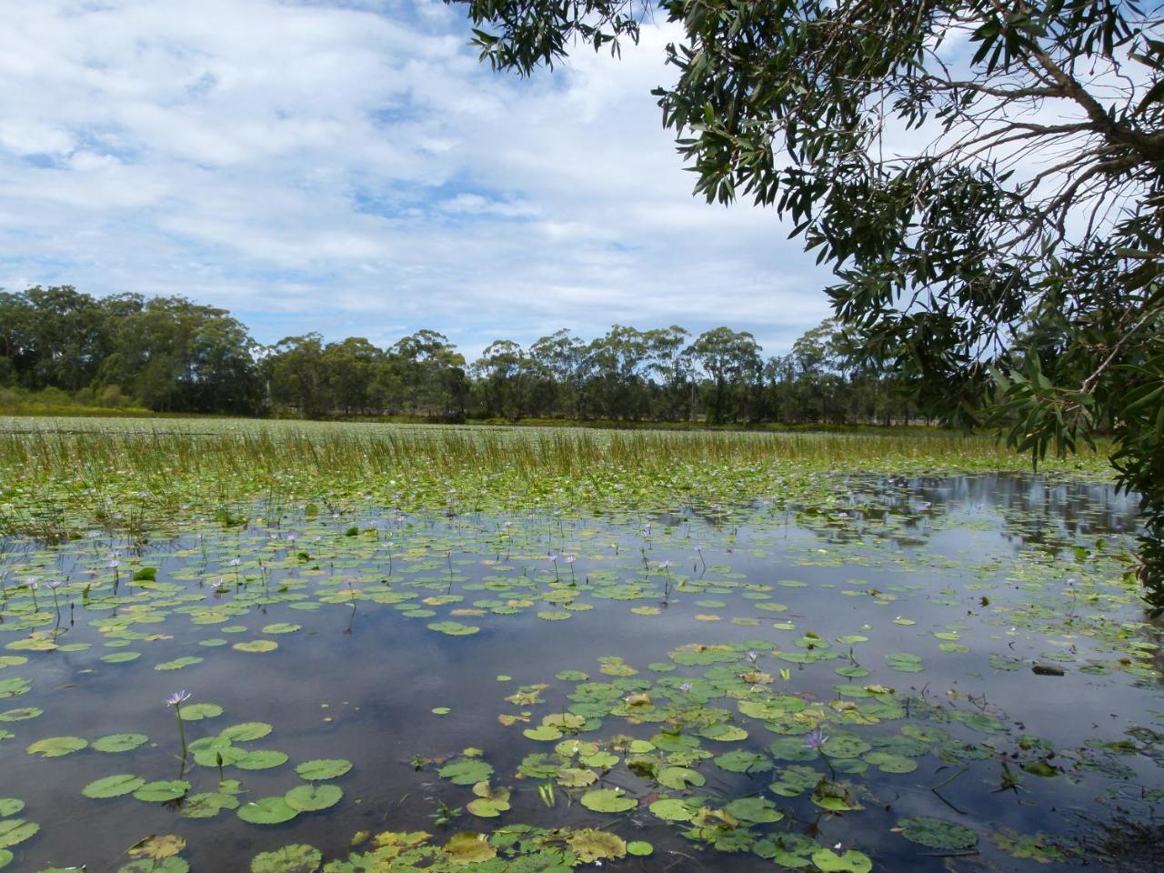 Russell Lakeside Retreat Bed & Breakfast Emerald Beach